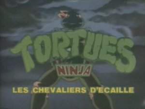 http://www.lestelevores.com/images/fiches/extrait/553-tortues%20ninja.JPG