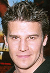 BOREANAZ David